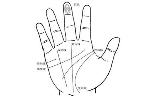 漫画手相