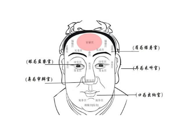 �����࿴��һ�룬��һ��˭�ʺ���