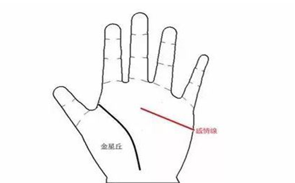 手相看妇科