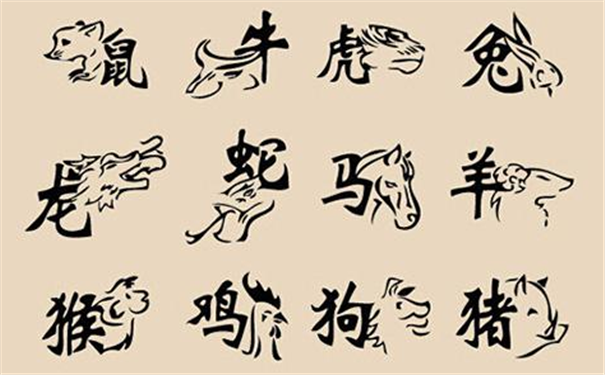 高学历的生肖