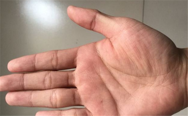 男人的掌纹