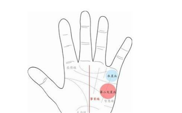掌纹粗深