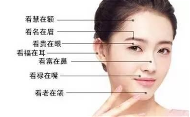 ���������Ե�����