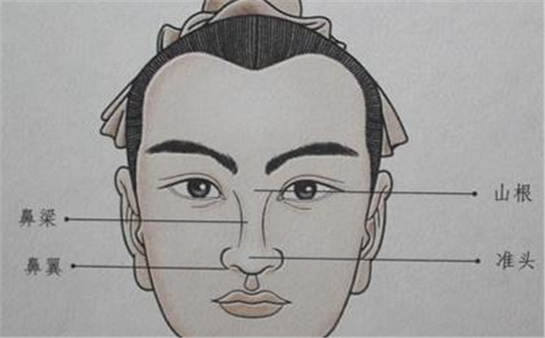 һ��������ʲô��ţ������