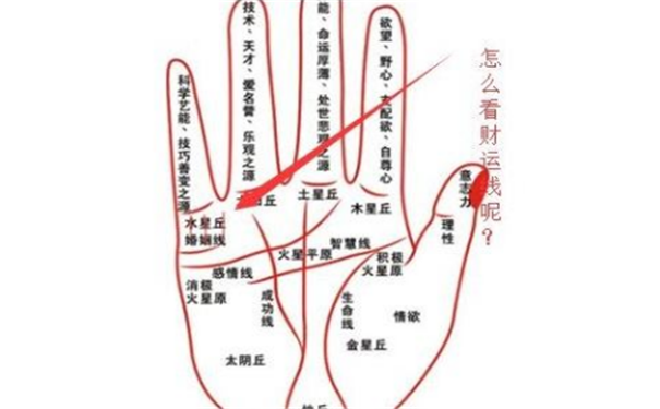 财运线手相