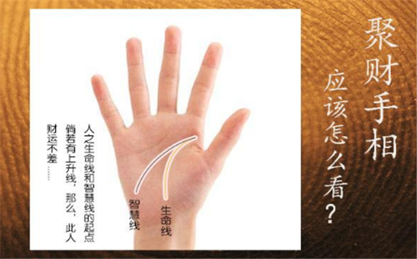 聚财手相