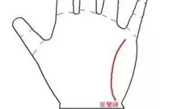 手纹线