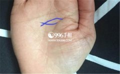 ���࿴���ˣ�����������Ĳ��˺û�