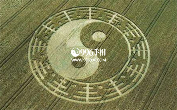 健康的八字