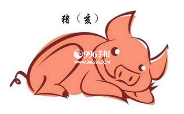 生肖看桃花运