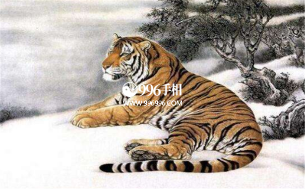 事业有成的生肖
