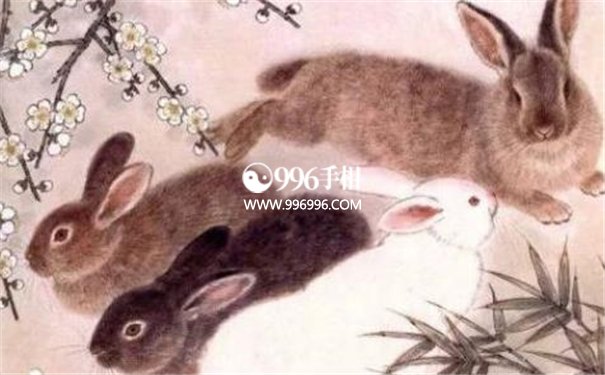 哪几个生肖