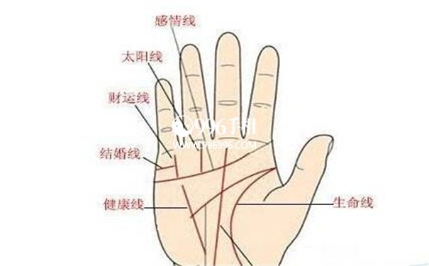 手相看男女