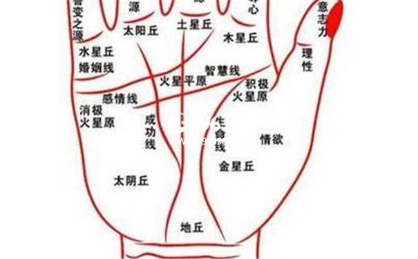 八面玲珑人手相