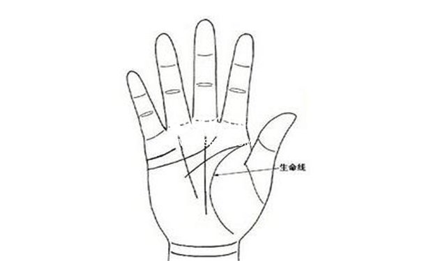 手相怎么看的