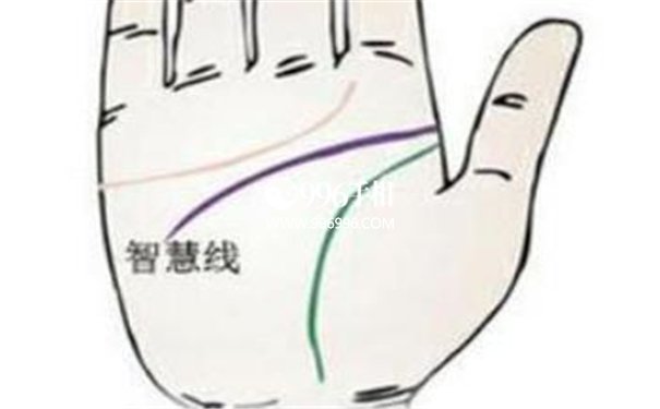手相怎么看的