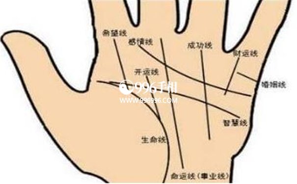 手相手掌