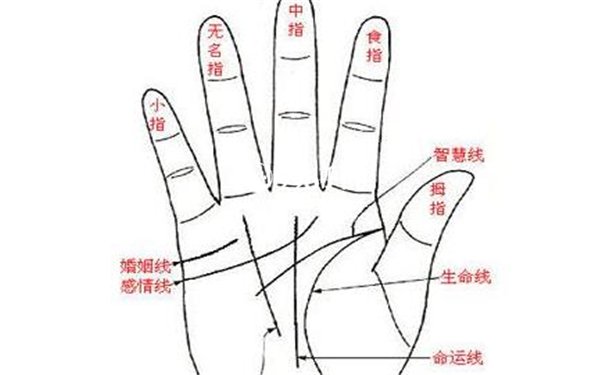 手型看性格