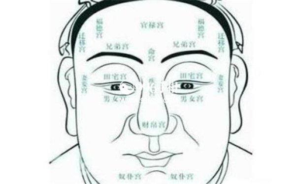 风水痣相