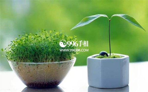 八字五行算命