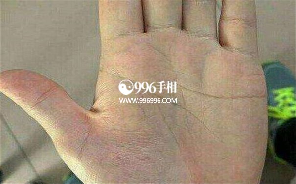 什么样手相