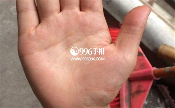 什么样手相