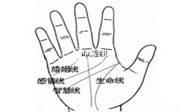 手相生命线短