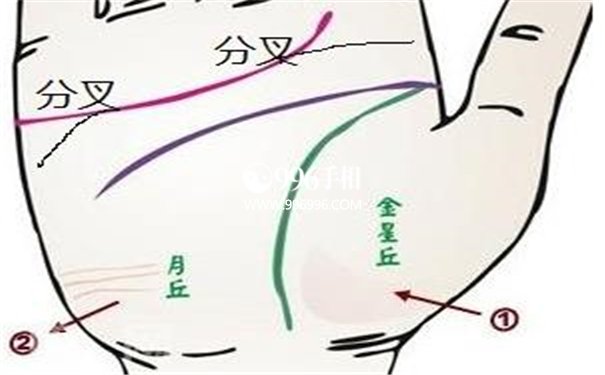 婚姻线多花心