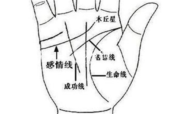 看相算命