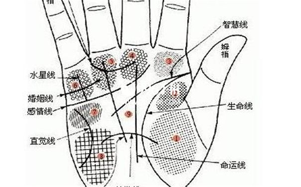 从手相看五脏六腑的疾病