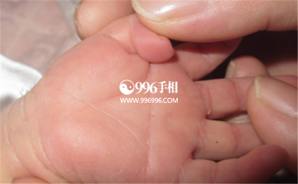 小孩手相