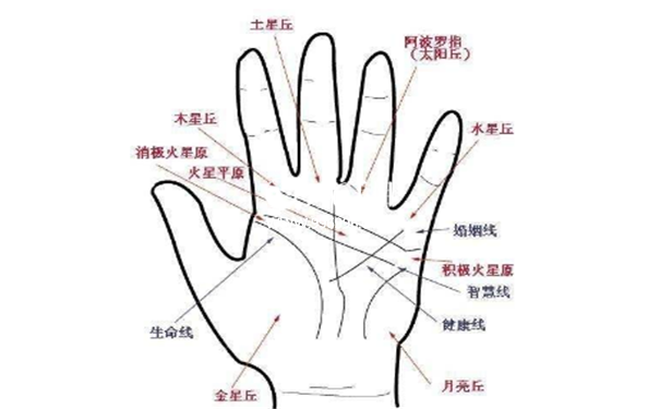 掌纹图解