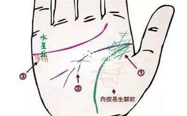 掌纹看妇科