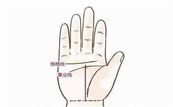 玉柱纹