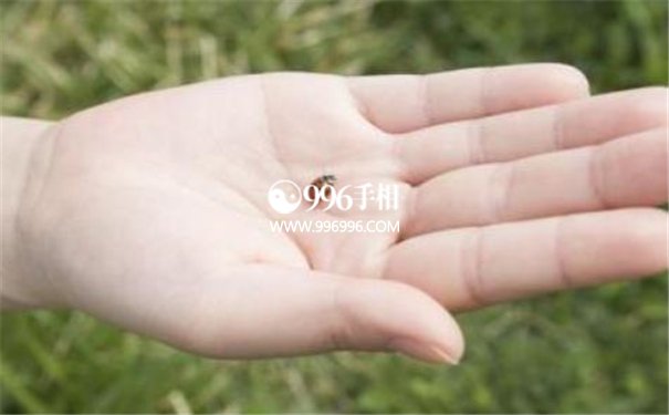 长命百岁手相