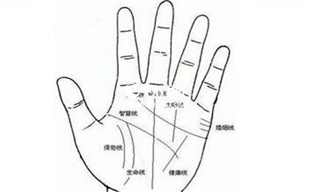 五种手相