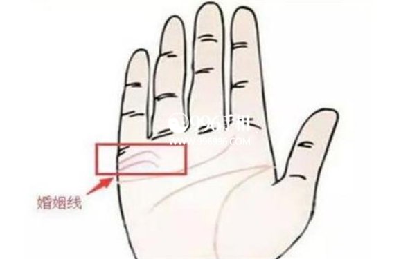 婚姻线看左手还是右手