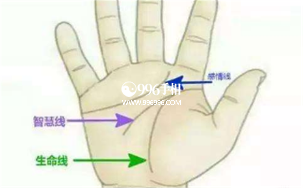 生命线短寿命就短吗