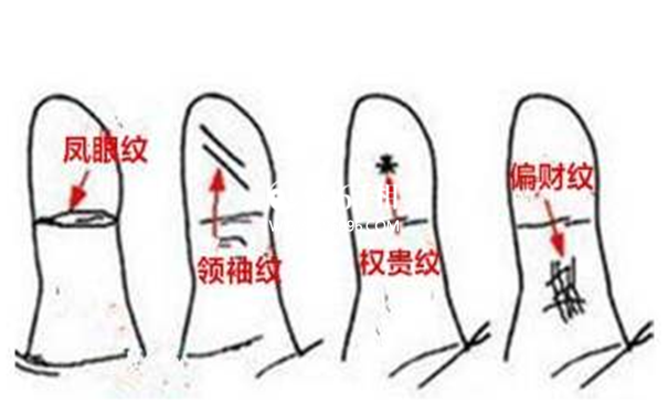真正的凤眼纹