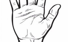 烂桃花的手相有这些特征