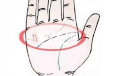 ���ྮ������Сָ�²�����ʢ����Щ�˵Ĳ���Ҳ����