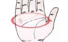 ���ྮ������Сָ�²�����ʢ����Щ�˵Ĳ���Ҳ����