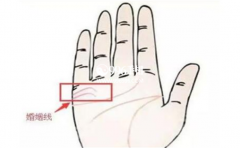 ����ͼ������ߣ�������������¶������������