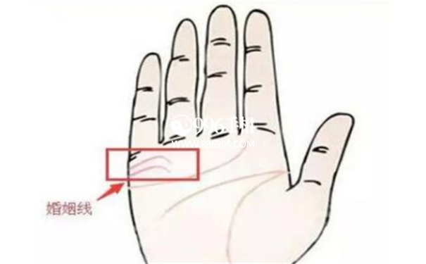 手相图解婚姻线