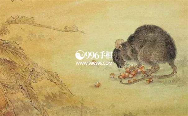 免费五行算命
