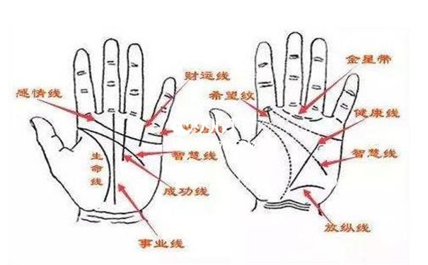 手相左右手差异