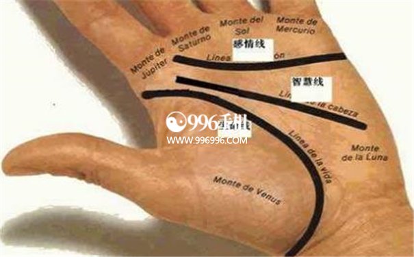 手掌上容易得的皮肤病