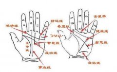 ���ྮ�ֳ�������ָ�·��к�Ԣ�⣬��Щ����Ҳһ��