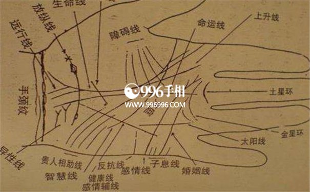 手掌纹与疾病的关系
