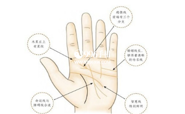 手相学大全